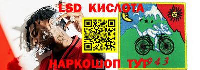 ГАЛЛЮЦИНОГЕННЫЕ ГРИБЫ Ликино-Дулёво