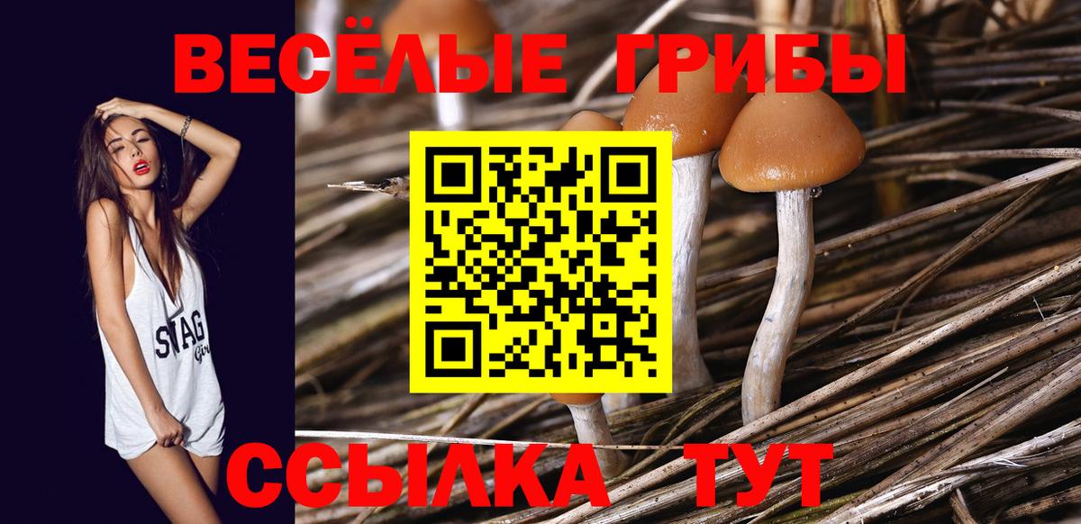 Псилоцибиновые грибы мицелий  Вход с VPN  Псилоцибиновые грибы прущие грибы  Вязьма 